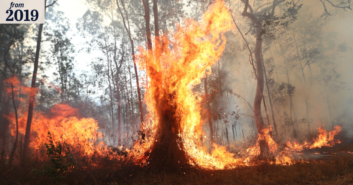 Fast-moving bushfire west of Brisbane puts residents on alert