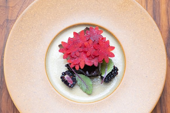 Beef with beetroot,blackberry and horseradish.
