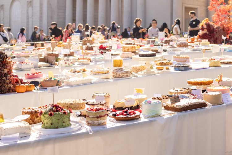 Cake Picnic is coming to Sydney in 2026.