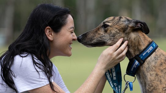 Greyhounds are whelped at a rate that exceeds the ability to rehome in a timely manner after exiting the racing industry.