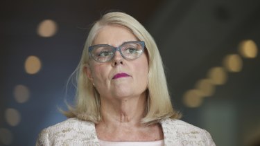 Home Affairs Minister Karen Andrews denounced the Queensland Premier’s remarks as “scaremongering”.