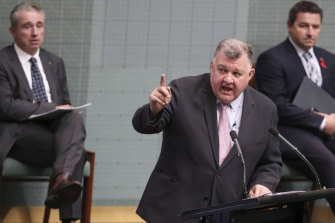 Craig Kelly has infuriated fellow Liberals over his support for hydroxychloroquine and ivermectin even though Chief Medical Officer Paul Kelly has warned they are not proven as treatments for coronavirus.