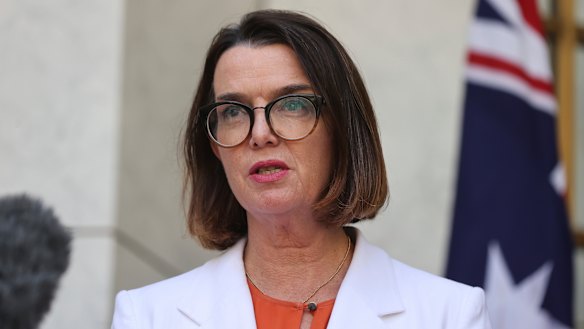 Minister for Families and Social Services Anne Ruston.