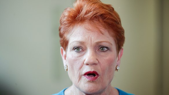 One Nation's Pauline Hanson says mothers are making up domestic violence claims to stop fathers getting access to their children. 