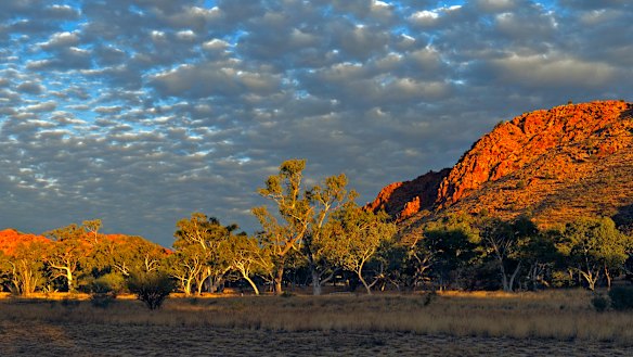 Squeaky Windmill, Alice Springs.