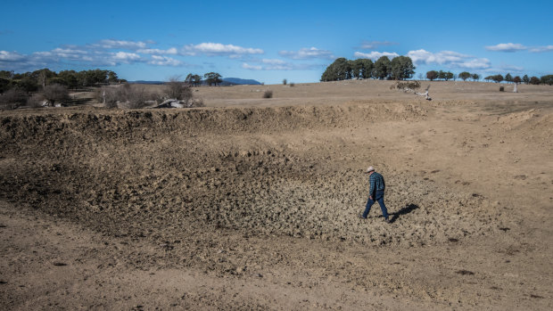 Braidwood farmer Mark Horan walks through one of the 20 dried dams on his property.  As a NSW farmer, he is eligible for transport subsidies, but nearby farmers in the ACT are not.