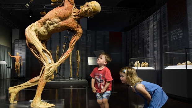 The Real Bodies exhibition has been shown around the world for more than 15 years.