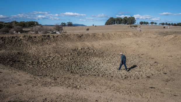 Braidwood farmer Mark Horan walks through one of the 20 dried dams on his property.  As a NSW farmer, he is eligible for government transport subsidies that aren't offered in the ACT.