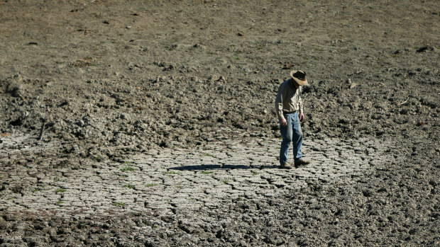 Bill Hannah in one of the four empty dams on his property in Gundy, in the Hunter region of NSW. Much of Australia is - yet again - in the grip of drought.