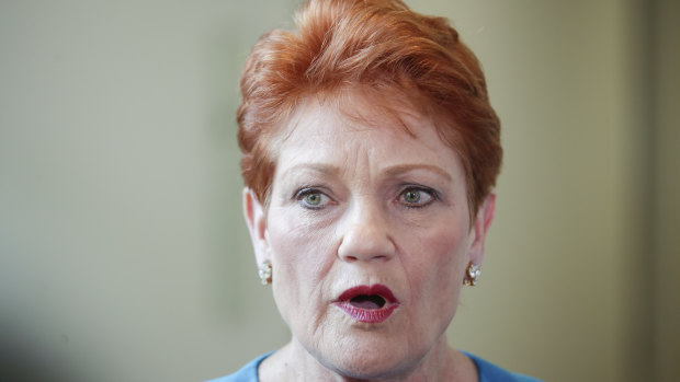 One Nation's Pauline Hanson says mothers are making up domestic violence claims to stop fathers getting access to their children. 