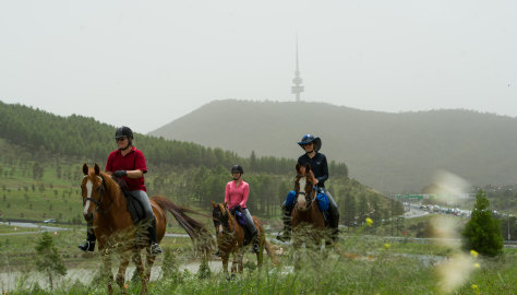 Horse riders Belinda Cox, Angela Chapman and Paula Stagg at the National Arboretum as dust covers the sky over Canberra on Saturday morning.