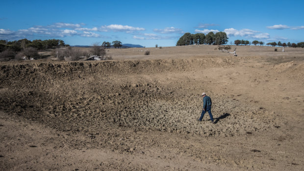 Bedervale in Braidwood farmer Mark Horan walking through one of the 20 dried dams on his property. 