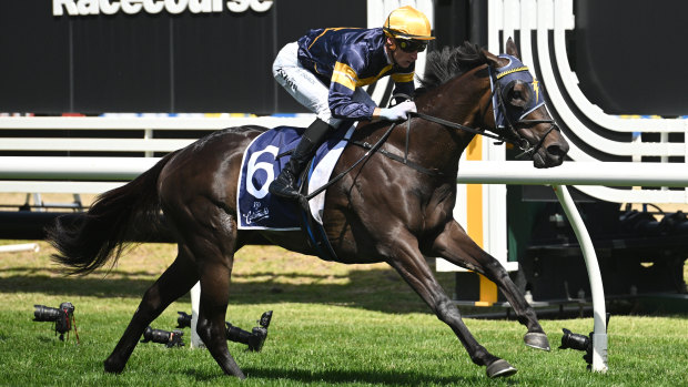 Blake Shinn rides Coeur Volante to victory in the Mannerism Stakes at Caulfield on February 22.