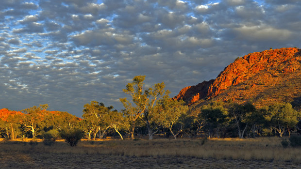 Squeaky Windmill, Alice Springs.