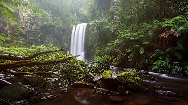 Wilderness in the Great Otway National Park in Victoria. “One of our main tasks now … is to understand this moment, what it might require of us," says American writer Rebecca Solnit. 