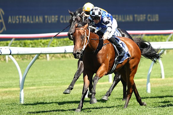 Dylan Gibbons monta o potro para vencer o Fireball Stakes em Randwick em 2024.