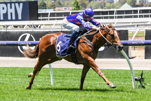  Profiteer has put the name of sire  Capitalist in the headlines.