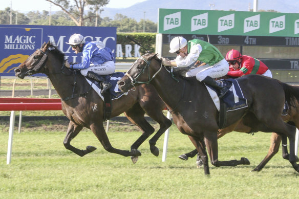 The Summer Sizzler headlines Monday's card at Muswellbrook.