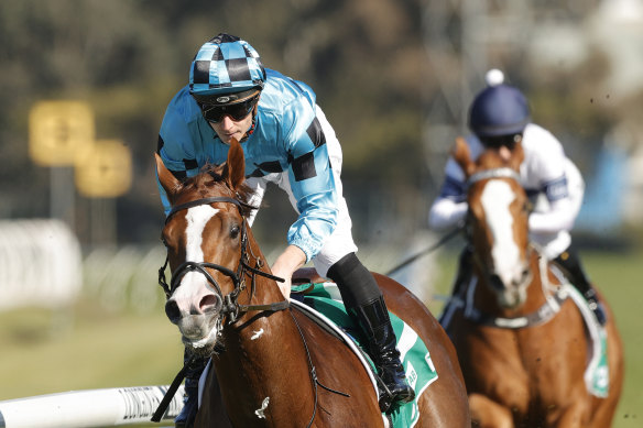 Anders is heading to the Moir following last month's San Domenico Stakes win at Rosehill.
