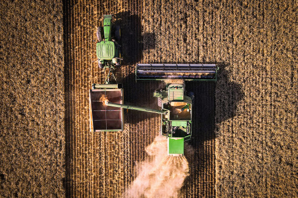 A farmer operates a machine known as a header, which harvests wheat and unloads it into an accompanying grain cart, called a chaser bin, during a harvest last year in northern NSW,