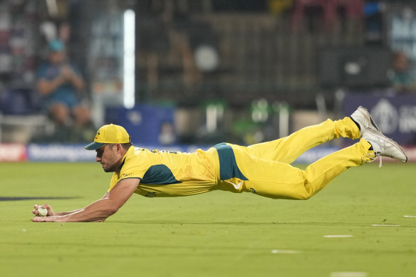 Marcus Stoinis takes a smart catch against Pakistan.