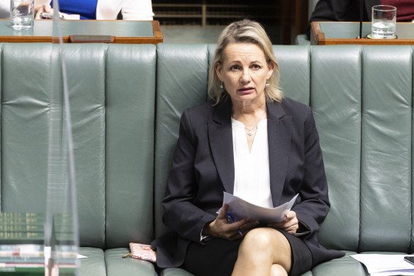 Deputy Leader of the Opposition Sussan Ley.