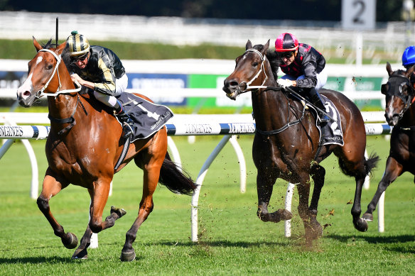 Snitz tears away from his rivals at Randwick on All Aged Stakes day in April.