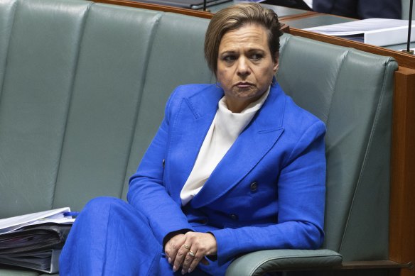 Michelle Rowland is a deliberate politician in charge of a big moral and commercil issue.