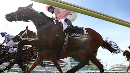 Pre-race fancy Anthony Van Dyck failed to finish in Tuesday's Melbourne Cup carrying 58.5kg.