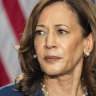 So Kamala is the ‘childless cat lady’? White male power plays its hateful gender card