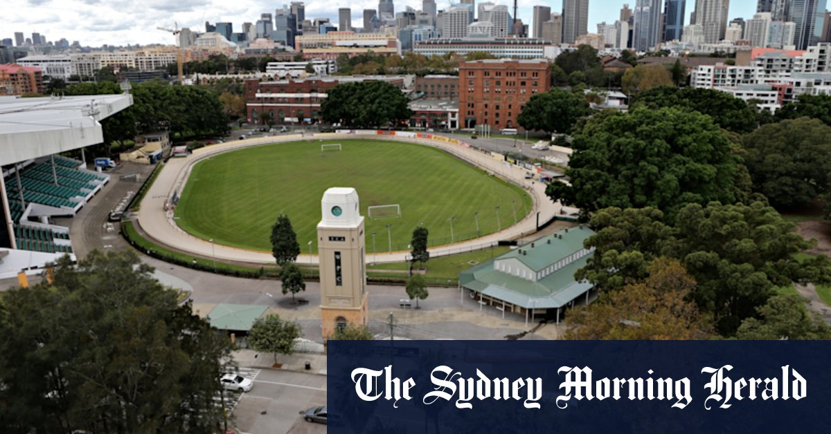 Greyhound racing: Clover Moore criticises NSW government for considering plan - Vimarsana News