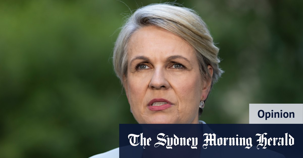 Tanya Plibersek's decision on Tasmanian wilderness - Vimarsana News