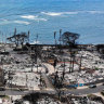 Nobody expected tourists to flood back to an island scarred by fire