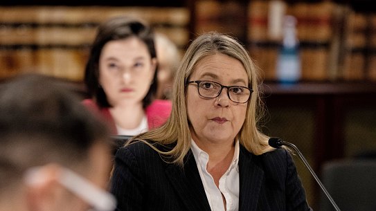 Jenny West appears at NSW upper house inquiry