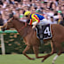 James McDonald rides Flying For Fun.