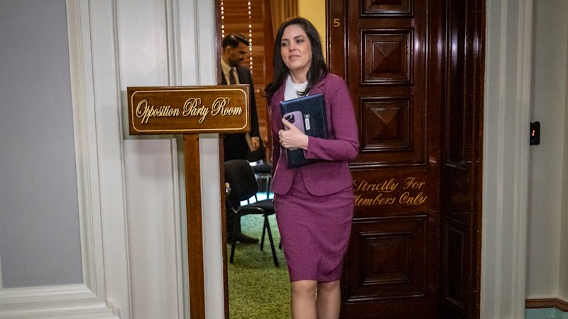 Liberal Party agrees not to reendorse Moira Deeming until after her final court appearance