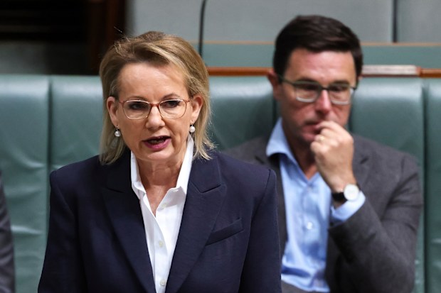 Opposition leader Sussan Ley and Nationals leader David Littleproud in parliament on Wednesday morning.