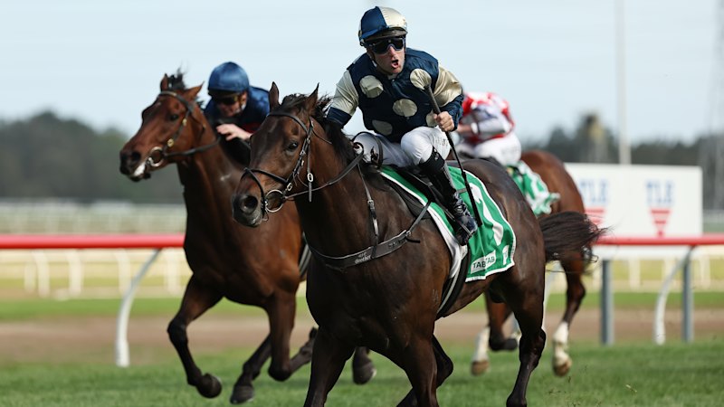 Race-by-race preview and tips for Kembla Grange on Saturday