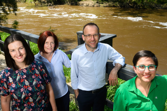 It feels ‘a little bit hairy’ now, but the Greens want to make the Yarra swimmable