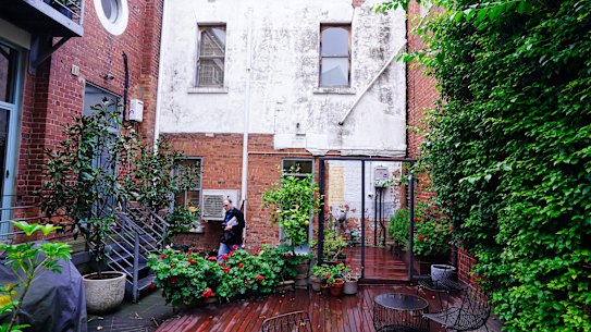 The lush communal garden at 116 Stephen Street.