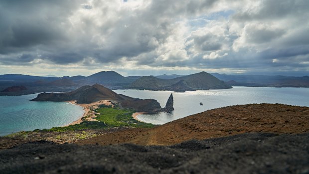 Island hikes are strictly controlled for ecological reasons. You can’t just go wandering off by yourself.