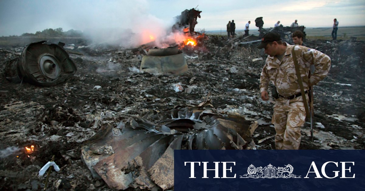 UN Aviation Authority Holds Russia Accountable for Downing of Flight MH17