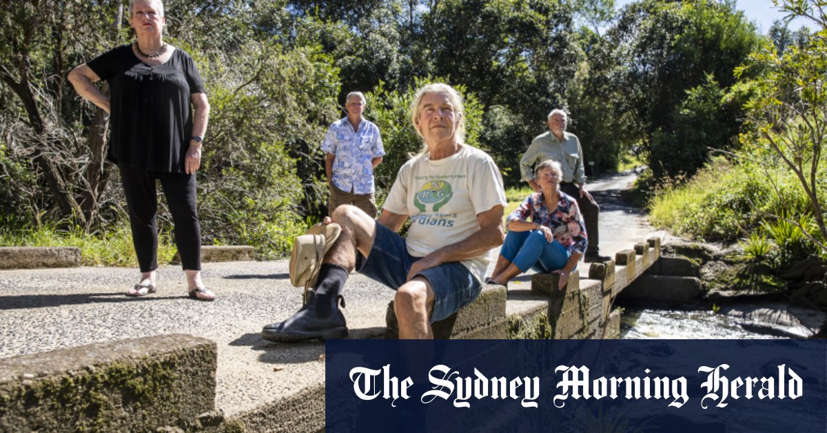 “Hippyland on a commercial scale”: Byron battle over suburb-sized commune image