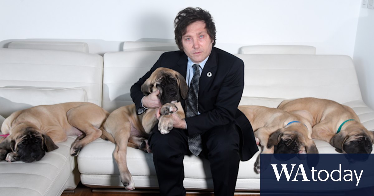 Far-right libertarian and his five cloned dogs vie for Argentina's presidential palace - Vimarsana News