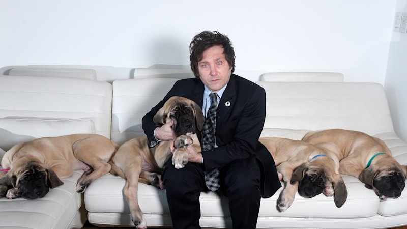 Argentina's Milei consults pet psychic for five cloned mastiffs at $35 hourly (australia) — SMH