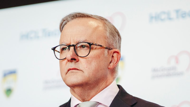 Albanese, Wells no-shows at the SCG for McGrath Foundation high tea