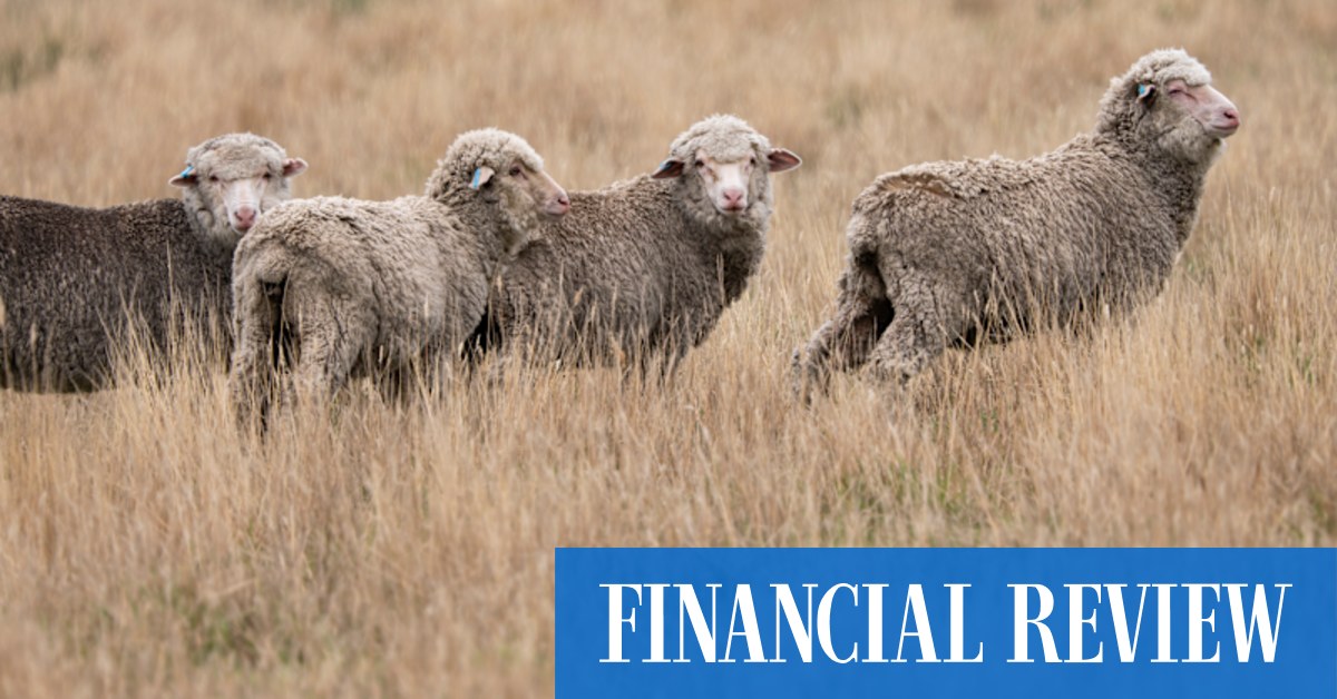 Australia’s top diplomat in Washington showdown over lamb tariffs