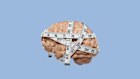 The questionable measure of intelligence has now been uncoupled from any test.