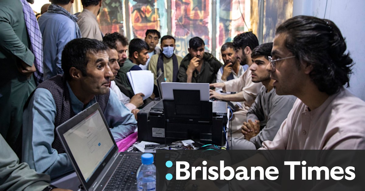Unlikely diplomats: Tech giants and their Afghanistan foreign policy - Vimarsana News