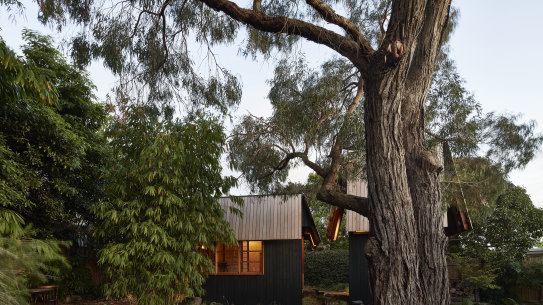 Ember House in Melbourne. Images from MRTN